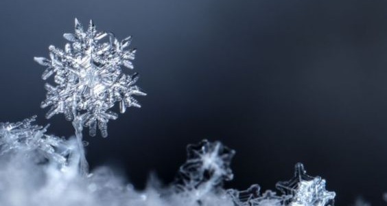 Froid et hiver : comment bien protéger son lombricomposteur